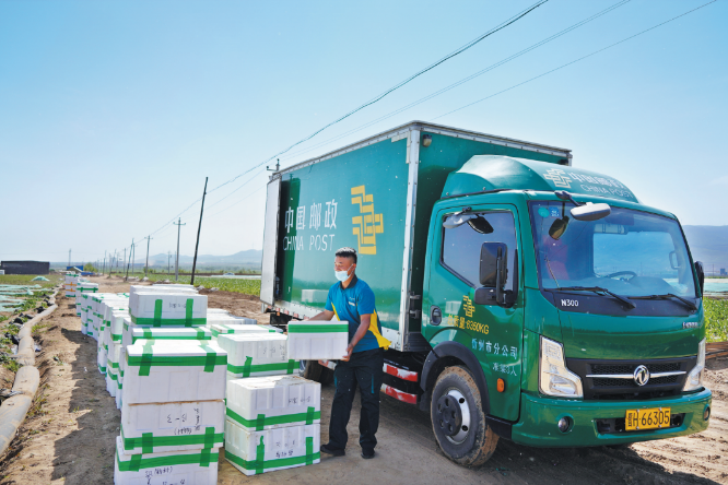 微信截图_20230621151537