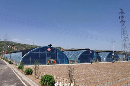 微信截图_20230621160850