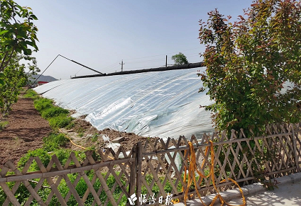 微信截图_20230621160858