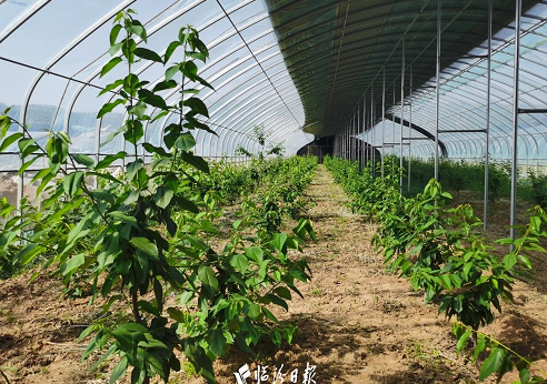 微信截图_20230621160906