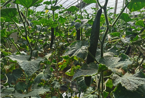 微信截图_20230621160914