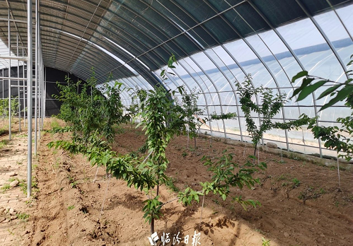 微信截图_20230621160923