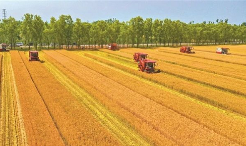 微信截图_20230621161847