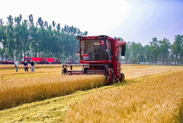 微信截图_20230621161901