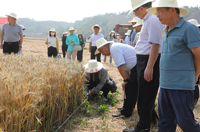 微信图片_20230623100606