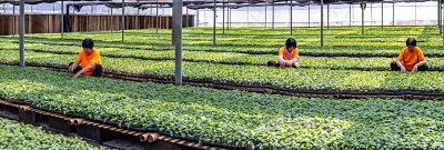 微信图片_20230626145746