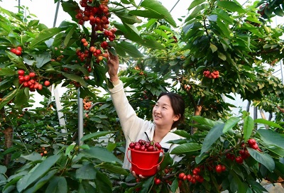 微信图片_20230626145749