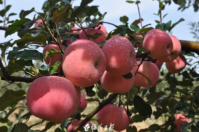 微信图片_20230627143050