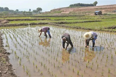 微信图片_20230628142401