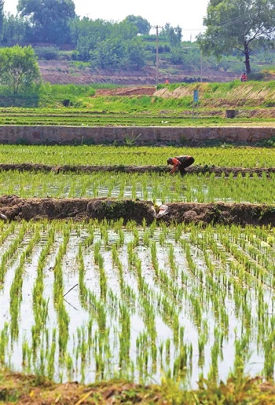 微信图片_20230628142408