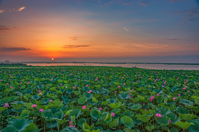 微信图片_20230629110845