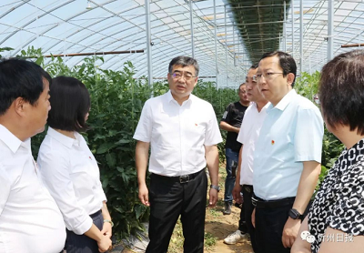 微信截图_20230630162617