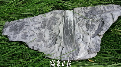 微信截图_20230703154543