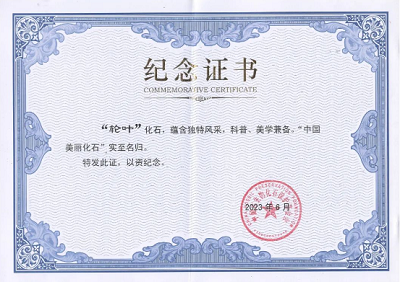 微信截图_20230703154550