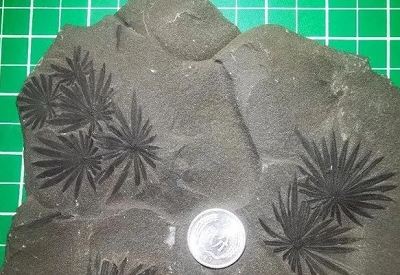 微信截图_20230703154610