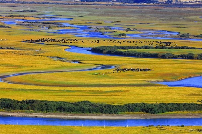 微信图片_20230704175547