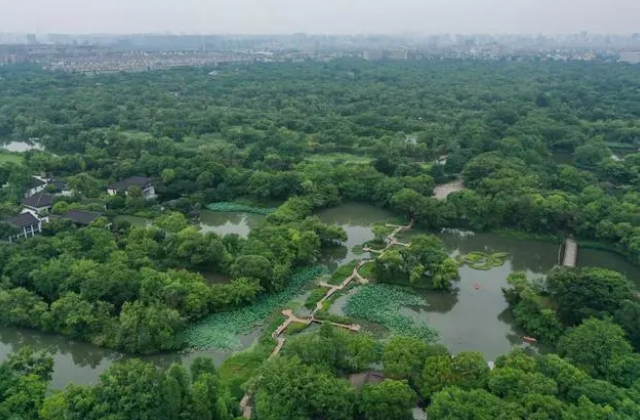 奋力谱写中国式现代化的浙江篇章——写在“八八战略”实施20年之际