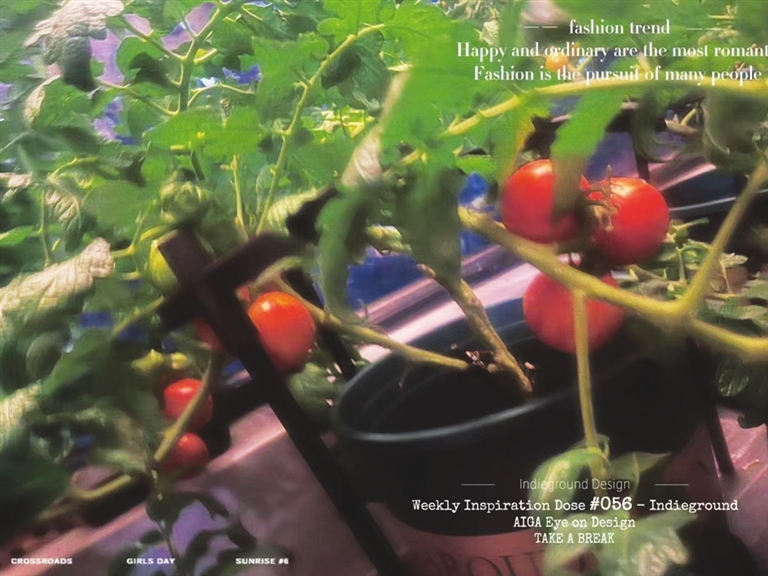 00300155543_032d54df