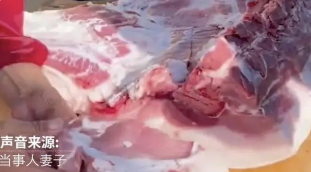 一残疾农民宰杀家养猪分售700元被罚5万，获法律援助后改罚5000元