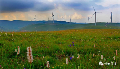 微信截图_20230713165624