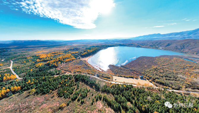 微信截图_20230724183957