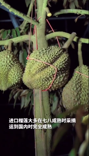 微信截图_20230726145353