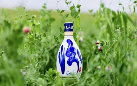 微信截图_20230729120922