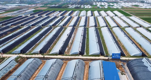 微信截图_20230803111653