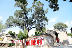 微信截图_20230813152930