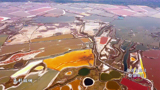 微信截图_20230817100514