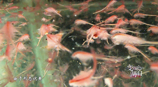 微信截图_20230817100521