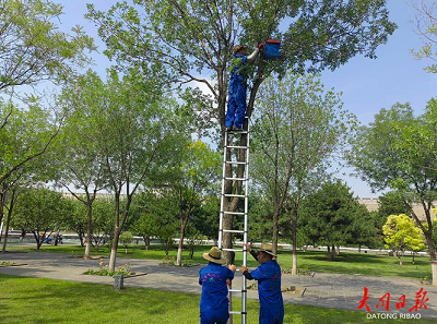 微信截图_20230818110004