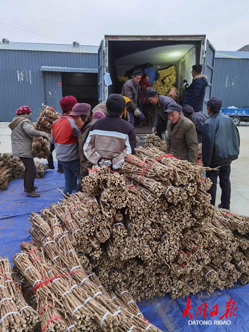 微信图片_20230822110129