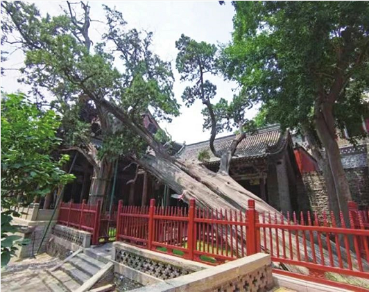 微信截图_20230825144342