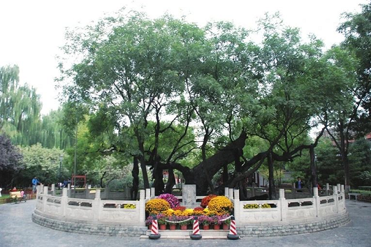 微信截图_20230825144349