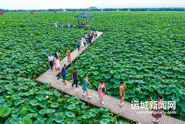 微信截图_20230825160052