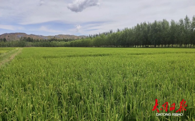 微信图片_20230828101204_1