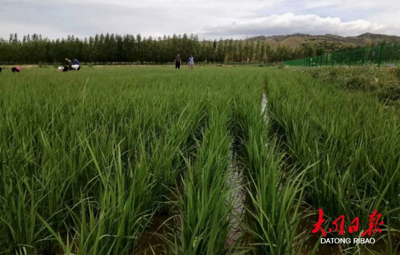 微信图片_20230828101205_2