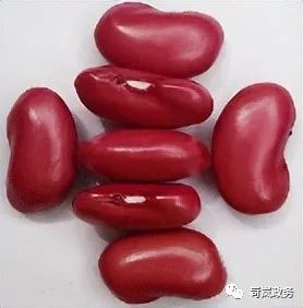 微信图片_20230829100941_1