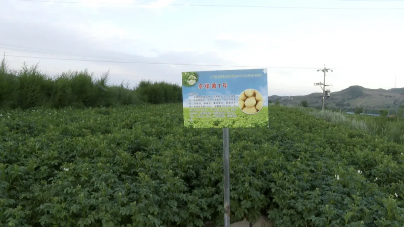 微信图片_20230829114916