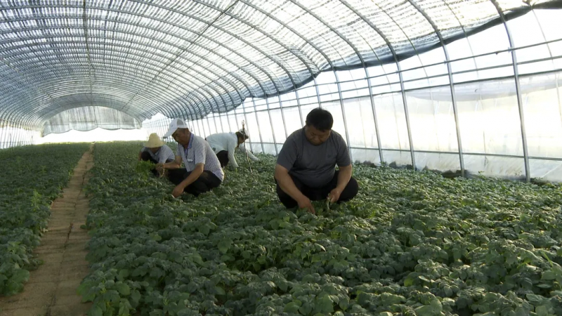 微信图片_20230829114917