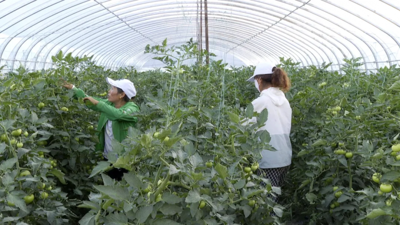 微信图片_20230829114918