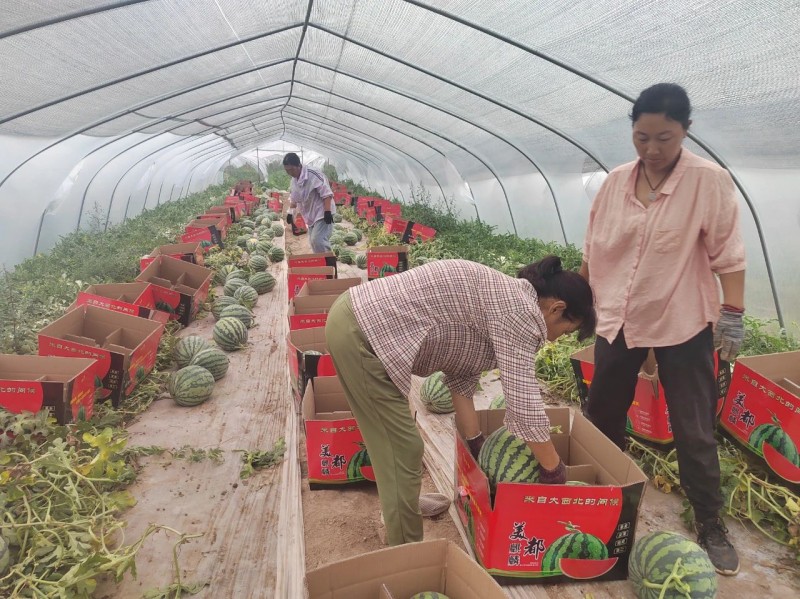 微信图片_20230830115416