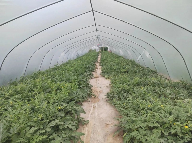 微信图片_20230830115416_1