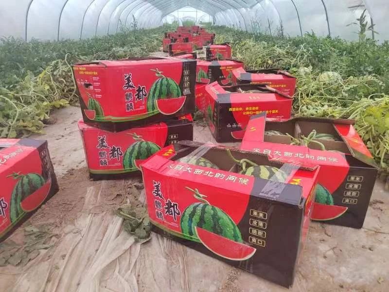 微信图片_20230830115416_2