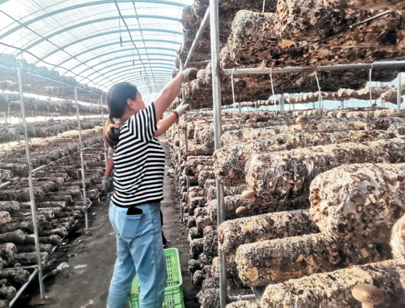 微信截图_20230830142943