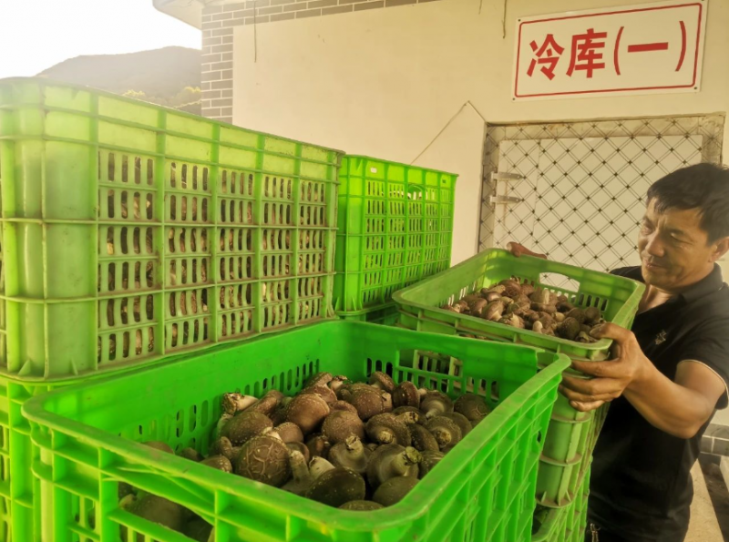 微信截图_20230830142953