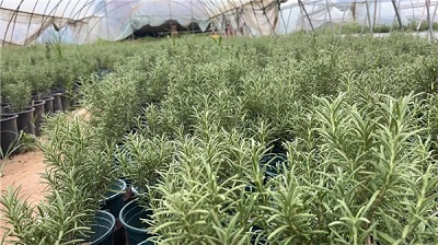 微信图片_20230830173038