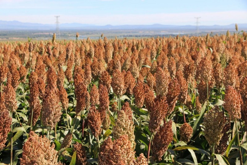 微信图片_20230901153655