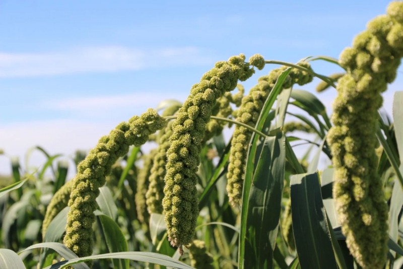 微信图片_20230901153655_1